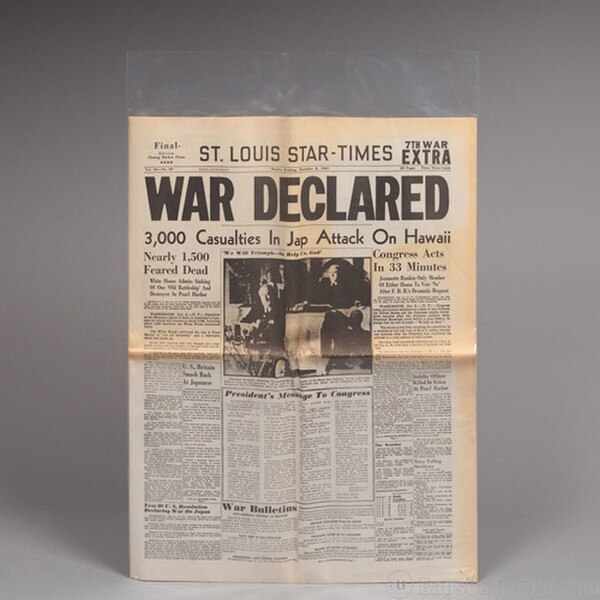 Newspaper Sleeve. Holds whole / fla